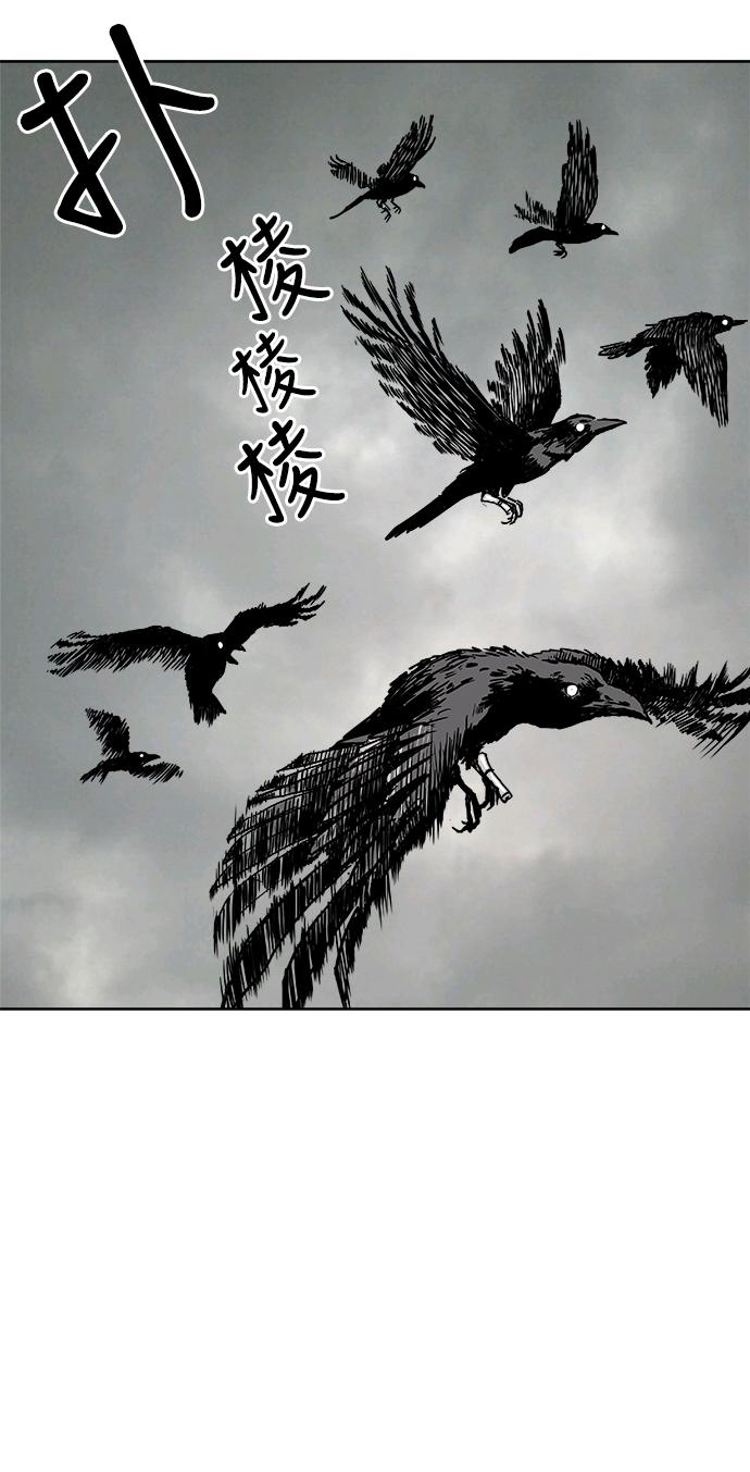 鹦鹉杀手免费看全集完整版漫画,第2话5图