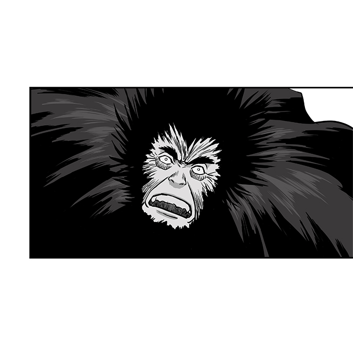 鹦鹉杀手漫画,第43话1图