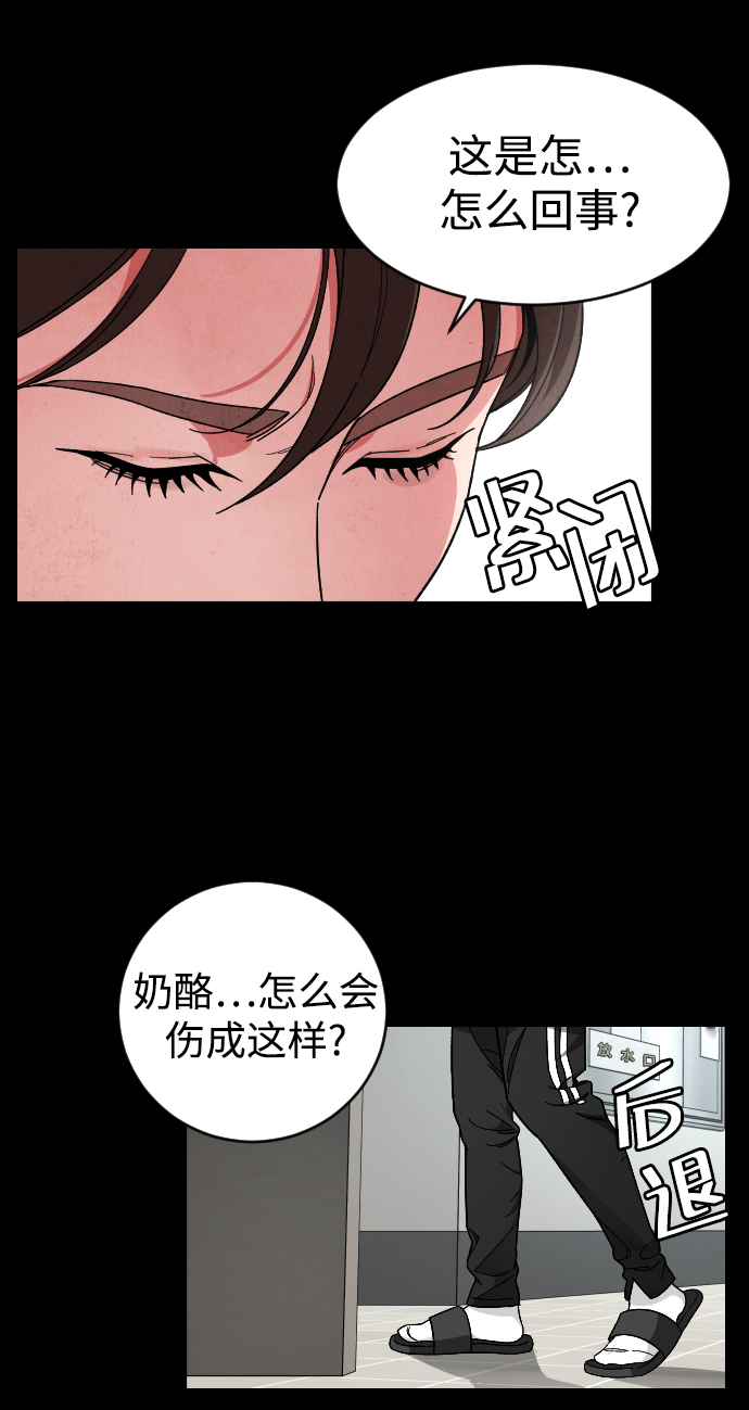 普通孩子逆天改命漫画,[第22话] 奶酪4图
